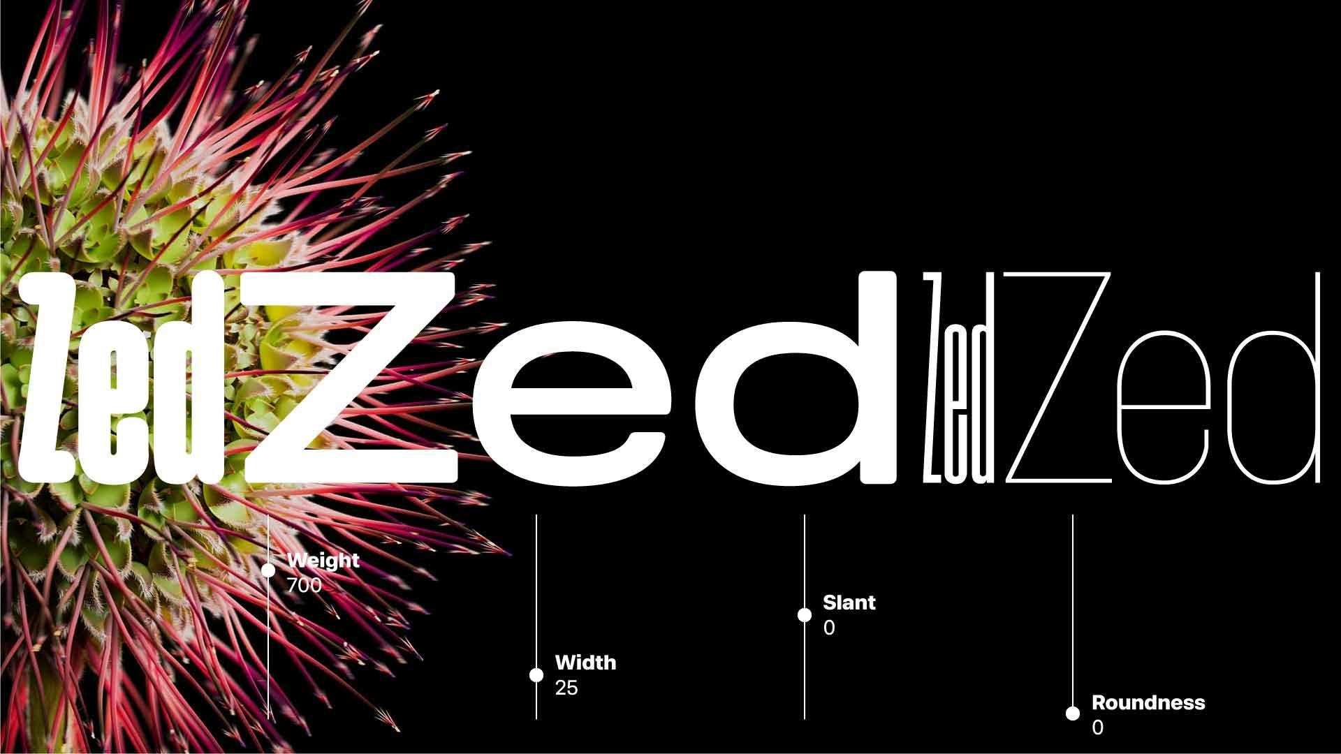 Zed cover stories