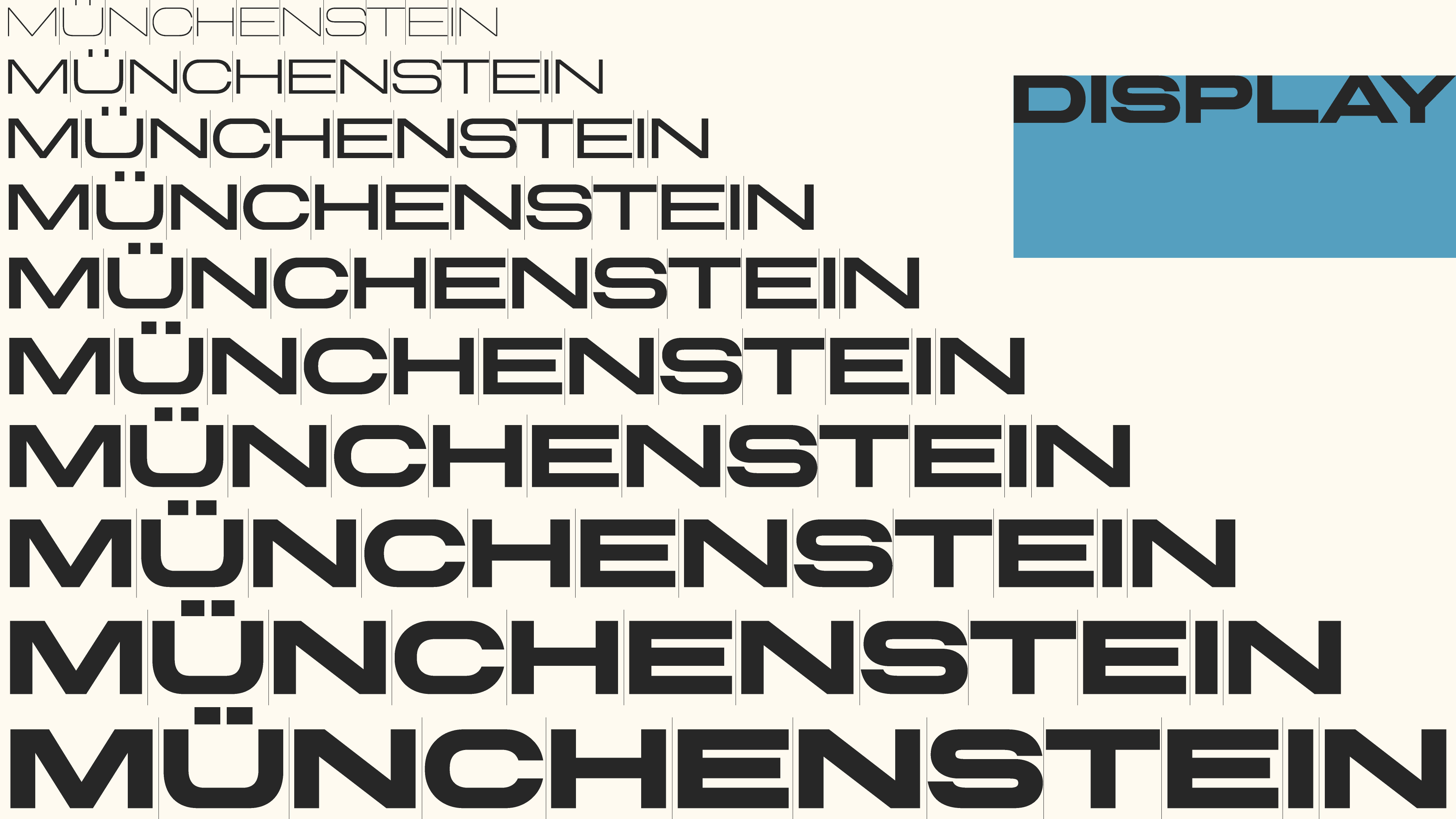 munchenstein display weights